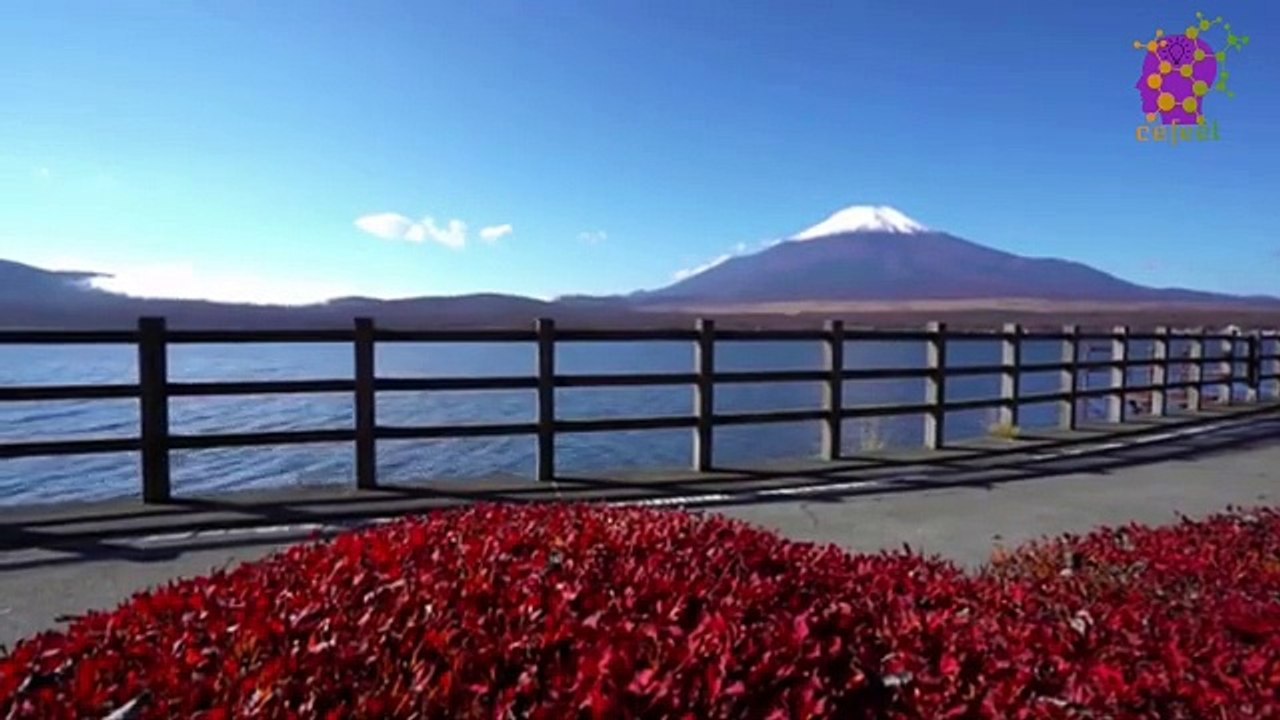 15 Minute Calming Natural Instrumental Music for Anxiety-Relief | Waterfall | Nature | Focus | Concentration | Stress-Relief | Serene | Joyful | Positive Energy | Study