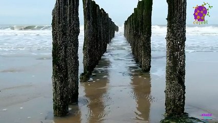 intro-logo-15-min-20211015-235213