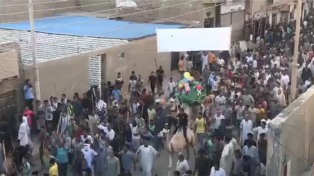رغم إلغاء الاحتفالات.. أهالي «نقادة» يحتفلون بالمولد النبوي بـ«الجمل والفرس»..