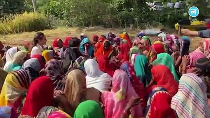 कांग्रेस महासचिव प्रियंका गांधी का 'खेत संवाद', धान काट रही महिलाओं से बात, जानी उनकी परेशानियां