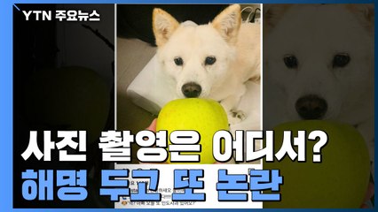 '개에 사과' 사진 촬영 어디서?...해명 두고 또 논란 / YTN