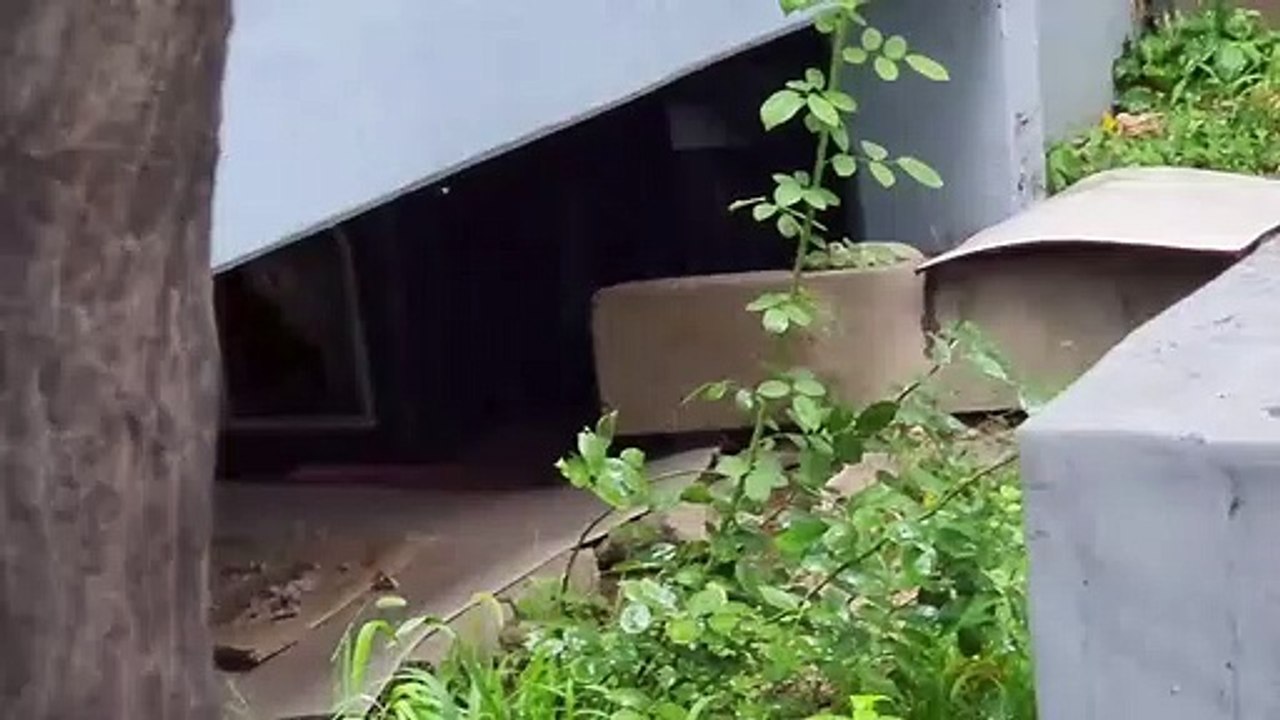 家族行方も分からないまま父親来た