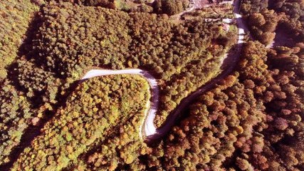 Zonguldak'ta kent ormanında sonbahar güzelliği
