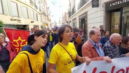 Una gran manifestació a Perpinyà exigeix a Aliot que permeti l'obertura d'un col·legi-liceu en català