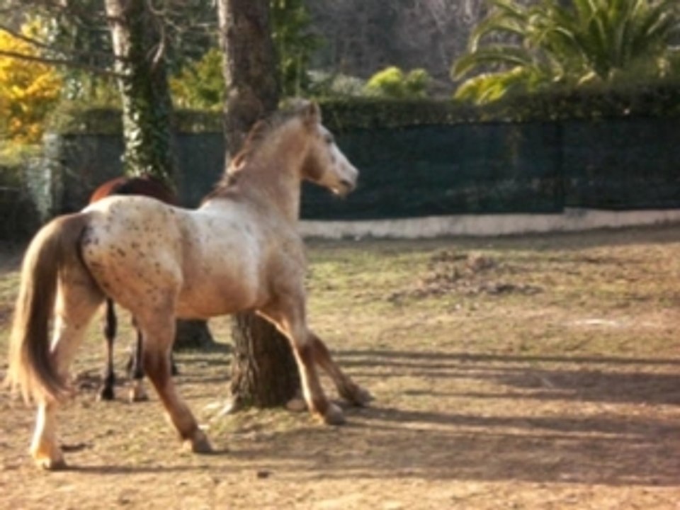 Mue de Printemps