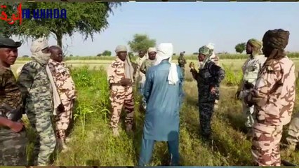 Tchad : un général intervient dans un champ pour libérer un couloir de transhumance