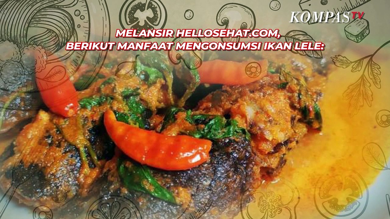 Penting! Manfaat Ikan Lele yang Kaya Nutrisi