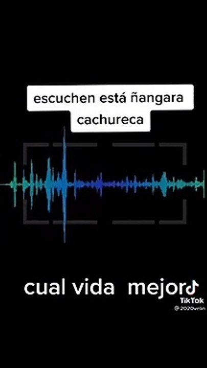 Se filtra audio cachunarco haciendo lo que saben hacer extorsionar