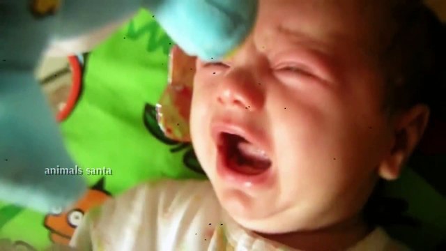 Babies and Cats Are Guaranteed to Make You Smile, Facts You Need to Know_v