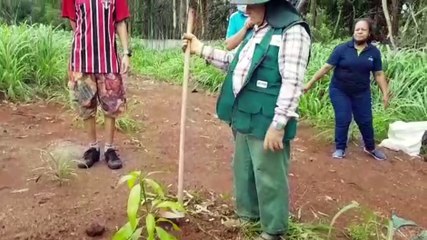 Amigos dos Rios realiza ação no Bairro Tropical