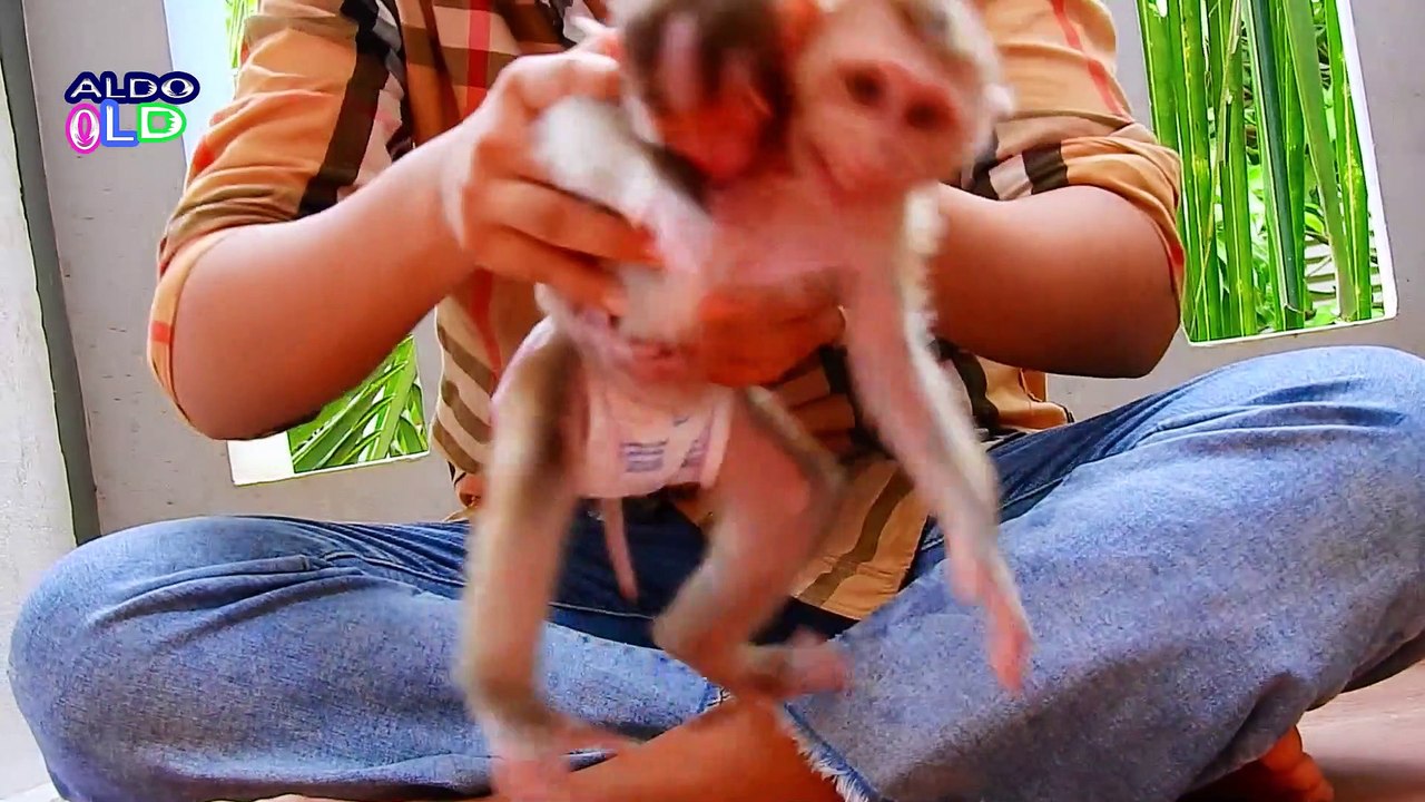 3=Sister Did The Best Ever! Sister Carry Smallest AVA & ALDO Like Human Baby And To Sleep Very Well#3