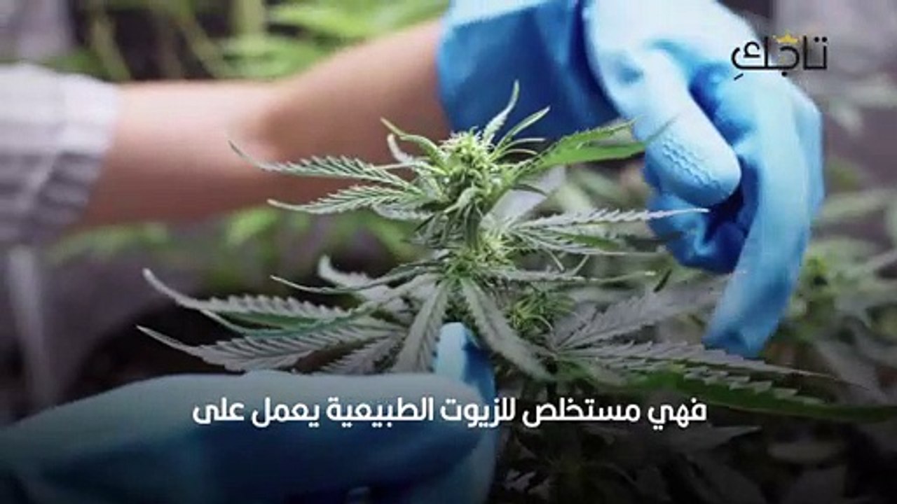 طريقة استخدام بديل الزيت