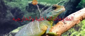نقي قلبك الكنس الداخلي والخارجي والمقاومات  للكائن الحى