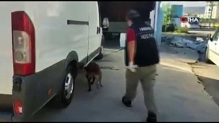 Balık yüklü araçta 53 kilo skunk esrar ele geçirildi