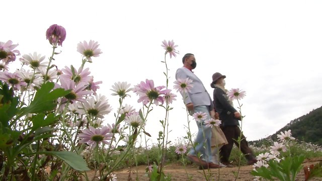 [날씨] 휴일, 완연한 가을...일교차 10℃ 이상, 건강 유의 / YTN