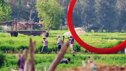 ...خطوة جريئة حيث لا يجرؤ الكثير من الناس ع...