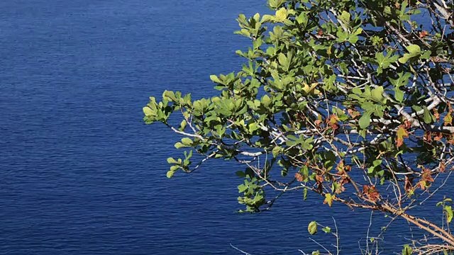 EP 9 I Relaxing Deep Sleep Music & Stunning Nature, Meditation Music, Stress, Healing Therapy Music