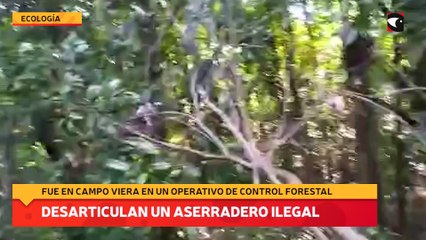 Desarticulan un aserradero ilegal