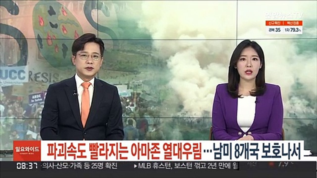 파괴속도 빨라지는 아마존 열대우림…남미 8개국 보호나서