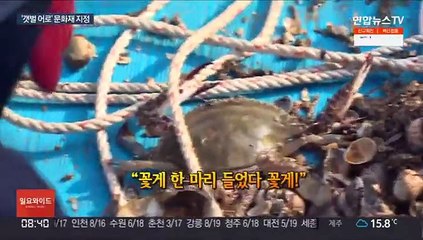 갯마을의 하루는?…'갯벌 어로' 무형문화재 된다