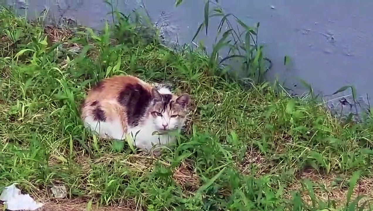 ヤンキ!!?毎度同じく野外に....