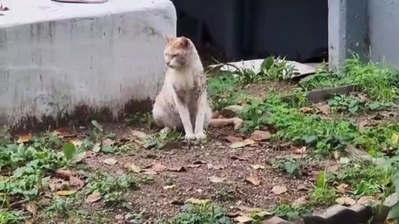 相変わらず家族を探す!!