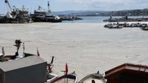 Marmara için korkutan uyarı: Koşullar devam ettikçe müsilaj tehlikesi var