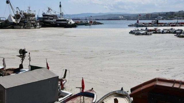 Marmara için korkutan uyarı: Koşullar devam ettikçe müsilaj tehlikesi var