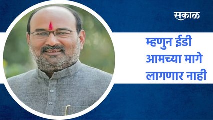 Sangli ;  भाजपचा खासदार असल्यानं, ईडी आमच्या मागे लागणार नाही  ; पाहा व्हिडीओ