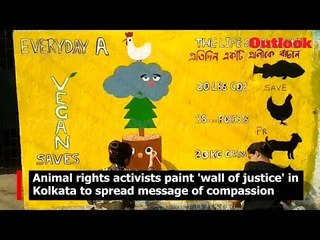 Animal rights activists paint 'wall of justice' in Kolkata to spread message of compassion