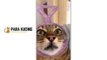 Funny cat  Cute Cat  Kucing Lucu  Kucing Imut  | 30 Cat Videos From Tiktok & Reels | #EPISODE2