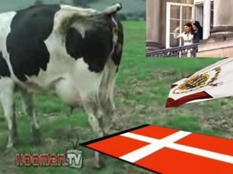 Danmark3