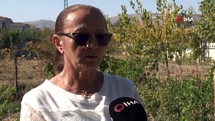 Tuz Gölü küçülmeye devam ediyor