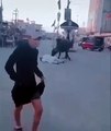 جاموس يطيح بالمارة في شوارع العراق في فيديو مخيف