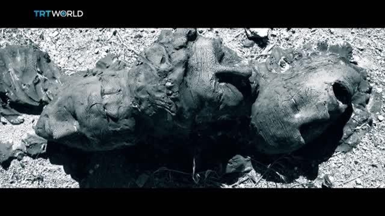 TRT World, Kıbrıslı Türklerin hayatta kalma mücadelesini dünyaya anlatacak