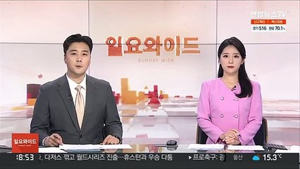 下载视频: 고 손정민 친구 유기치사, 증거 불충분…유족 