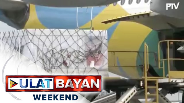 Bahagi pa rin ng vaccine roll-out ng pamahalaan ang inaasahang darating na panibagong batch ng COVID-19 vaccine ngayong gabi