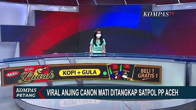 Anjing Canon Mati Usai Ditangkap, Satpol PP Aceh Jadi Sorotan