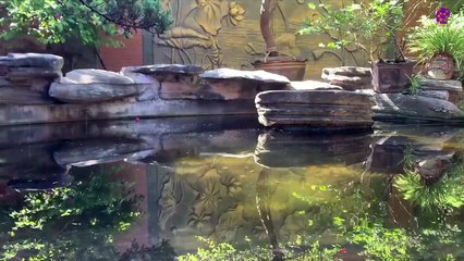 15 Minute Calming Nature Music | River | Garden | Rain | Stress-Relief | Meditation | Focus | Concentration | Study | Sleep | Slow | Instrumental | Sweet | Joyful