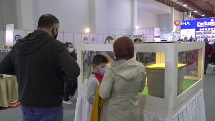 Sosyal medyada fenomeni 'Prenses' kediseverleri kendine hayran bıraktı