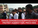 Rahul Gandhi leads opposition's protest against fuel price hike