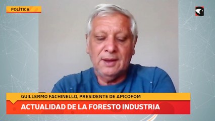 Actualidad de la foresto industria