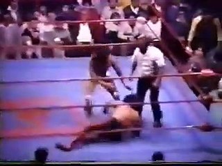 Sangre Chicana vs. Perro Aguayo