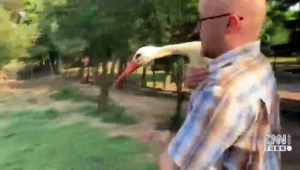 Hayvanlar için köye taşındı