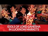 Ganesh Chaturthi: Idols Of Lord Ganesha In Lucknow's Markets