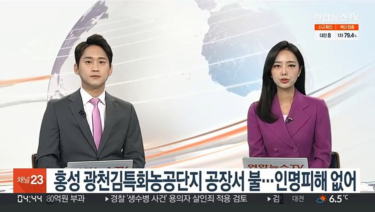 홍성 광천김특화농공단지 공장서 불…인명피해 없어