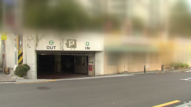 아파트 지하주차장에서 10대 여학생 성폭행 시도한 20대 검거 / YTN