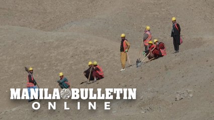 Taliban offer jobs for wheat to tackle hunger and unemployment