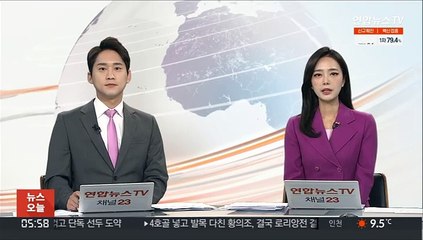 "중국, 전력난에 9월 북한서 전력 수입 늘려"