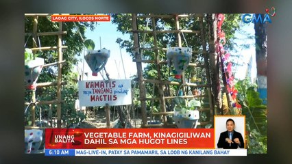 Vegetable farm, kinagigiliwan dahil sa mga hugot lines | UB